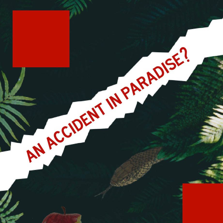 Flyer für An accident in paradise?